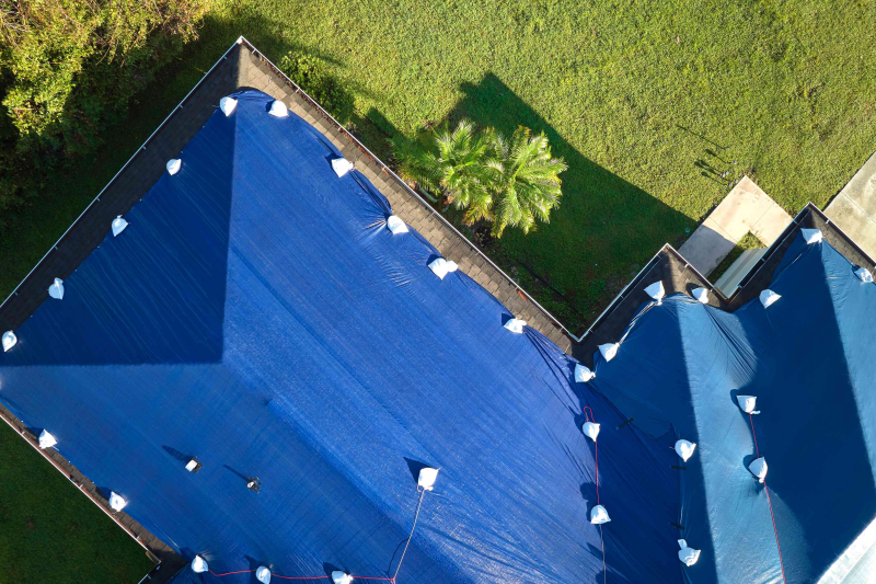 tarped house in background